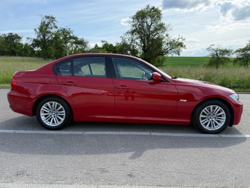 BMW 320 - 8