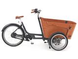 Babboe Carve Mountain 2024 - Größe: 50cm - Babboe E-Bikes