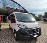 Fiat FIAT Ducato 30 2.3 MJT 140CV 9 POSTI - Fiat Ducato: 1.9