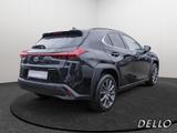 Lexus UX 250h Style+ Ed. SHZ ACC ALUFELGEN 18 ZOLL WKR - Lexus: 1s250