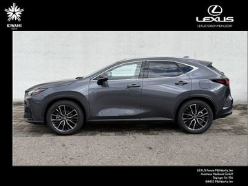 Lexus NX 350h - 6