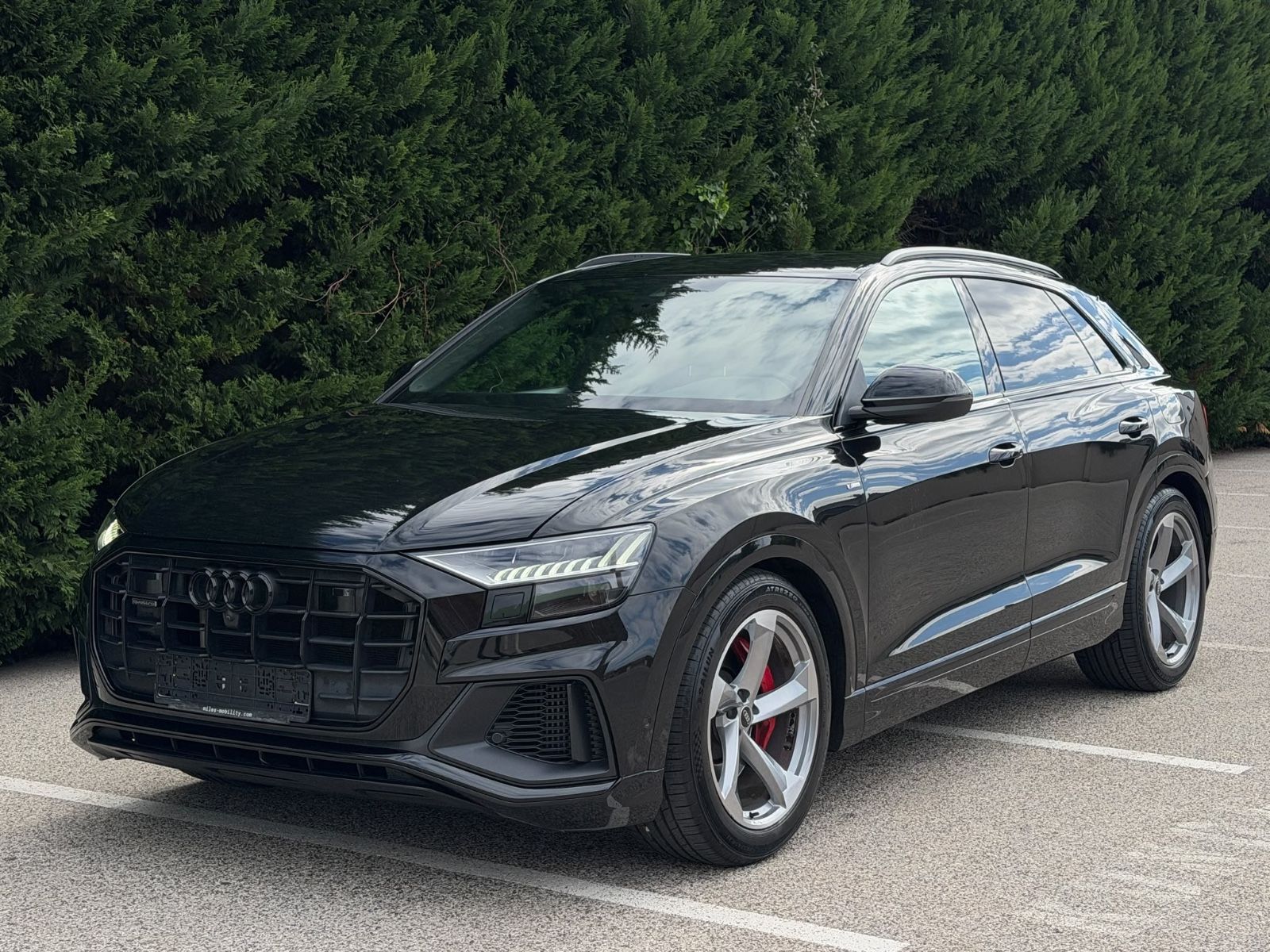 Audi Q8 60TFSI-e*3x-S-Line Plus*MATRIX*LUFT*360*AHK*2