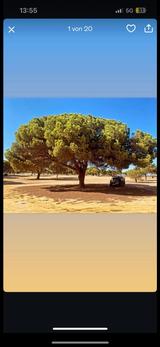 Mercedes-Benz Mercedes Vito / TÜV / Einsteigen Losfahren... - gebrauchte Mercedes-Benz Vito aus dem Jahr 2003