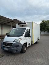 Fiat Ducato Kühlkoffer | Carrier Kühlung |... - Fiat Ducato in Duisburg
