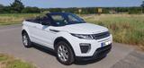 Land Rover Range Rover Evoque Cabrio TD4 SE Dyn. WIE NEU - Land Rover Range Rover Evoque: Cabrio