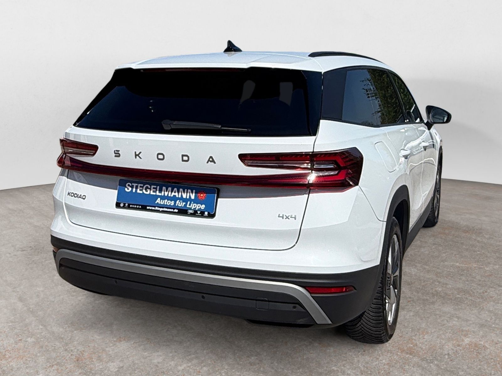 Skoda Kodiaq - Bild 6