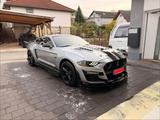 Ford Mustang 5.0 GT Shelby Optik