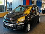 Fiat Panda My Panda - gebrauchte Fiat Panda aus dem Jahr 2013