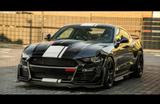 Ford Mustang 5.0 GT Shelby Super Snake Whipple S - Ford Mustang: Super Snake