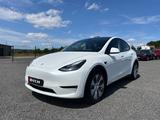 Tesla Model Y Dual Motor Long Range AWD - Tesla Gebrauchtwagen von 2024