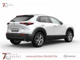 Mazda CX-30 Exclusive 140 Automatik 2025|Navi|Matrix-L - Mazda CX-30 in Essen