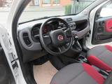 Fiat Panda 1.2 Easy *Sehr gepflegt* - Fiat Panda: 1.2