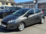 Ford Fiesta Celebration 82Ps 5trg | SHZ | PDC | 4-Zyl - Ford Fiesta: 82 Ps