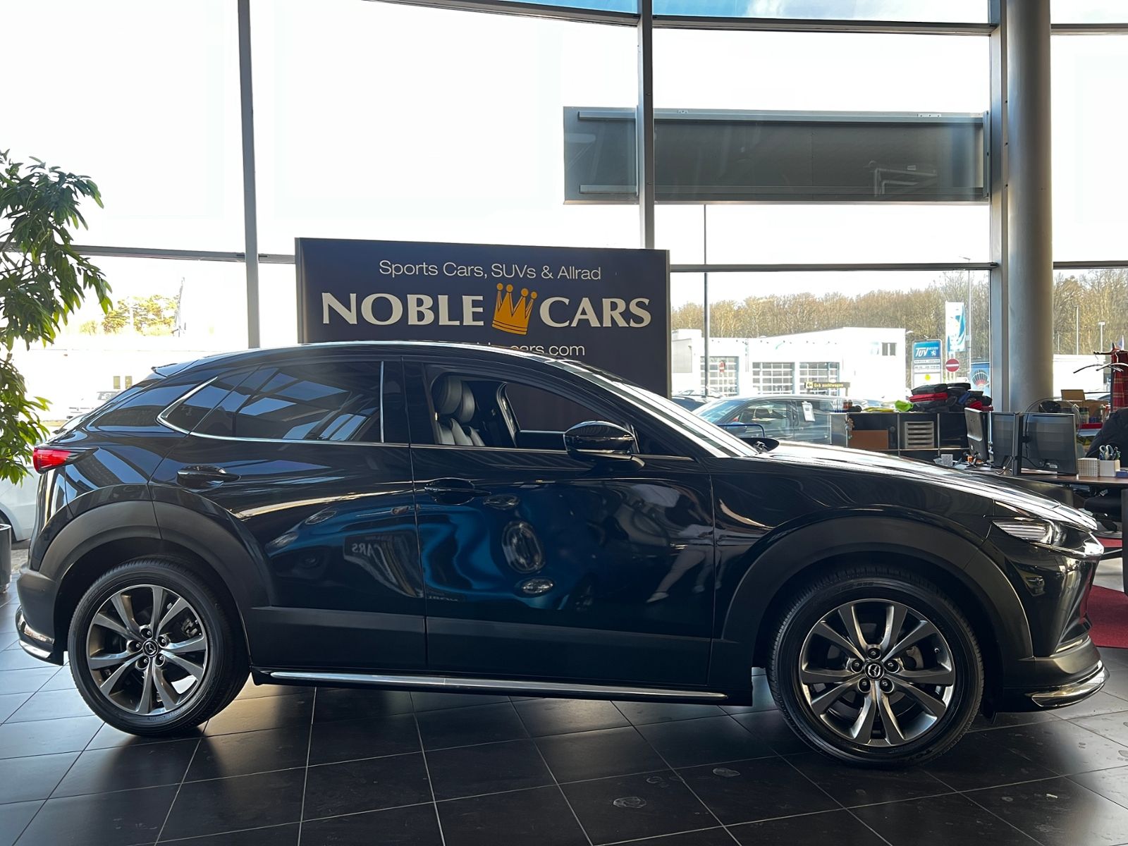 Fahrzeugabbildung Mazda CX-30 Selection AWD 360° BOSE LED NAVI