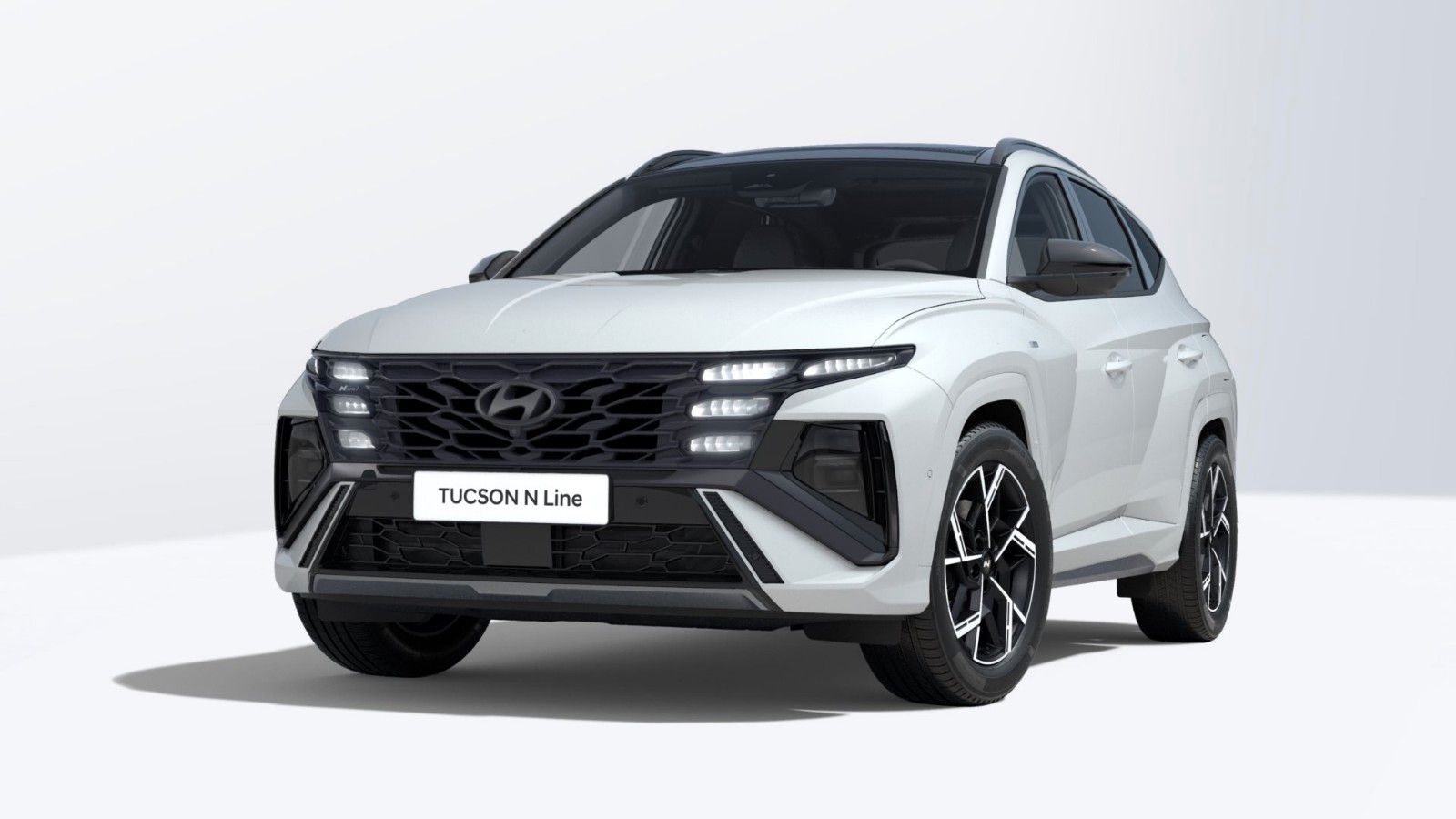Hyundai TUCSON HEV 1.6T-GDi 239PS N LINE X PANO 360° ECS