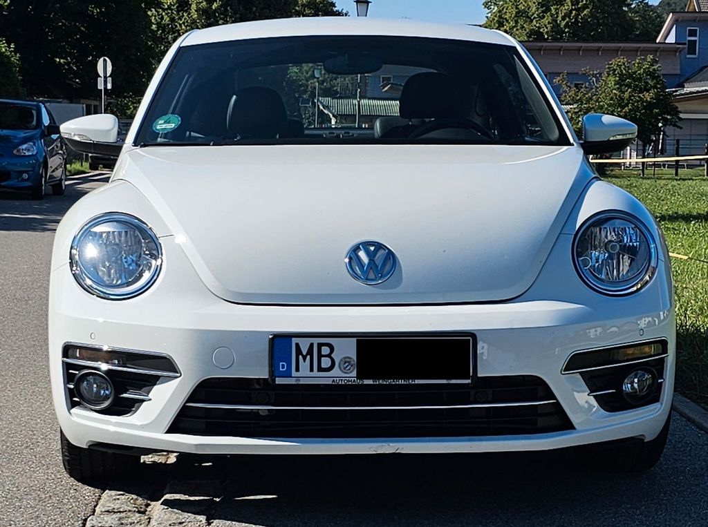 Image of Volkswagen Beetle