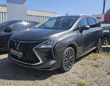 DFSK Forthing 4 U-Tour PHEV 1.5-T DCT 7-SITZER - graue DFSK Forthing 4