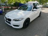 BMW 218 Baureihe 2 Cabrio 218 d Advantage M Lenkrad - BMW 218: Sportfahrwerk