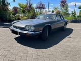 Jaguar XJS Targa, 5.3 ltr. 12 Zyl.  H-Zul. startklar - graue Jaguar XJS