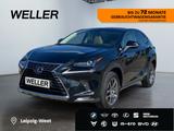 Lexus NX 300h Business Line *Bi-LED*Pano*RCam*SHZ*PDC* - Lexus Gebrauchtwagen in Leipzig
