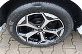 Ford Puma ST-Line 1.0 EcoBoost NEUES MODELL - Ford Puma Neuwagen