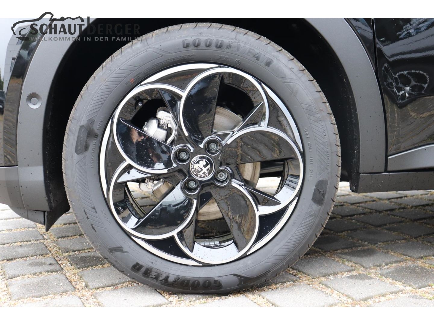 Alfa Romeo Junior - Bild 27