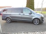 Andere V250d Avantgarde Edition Lang AHK Agility 18Zoll - Andere Gebrauchtwagen
