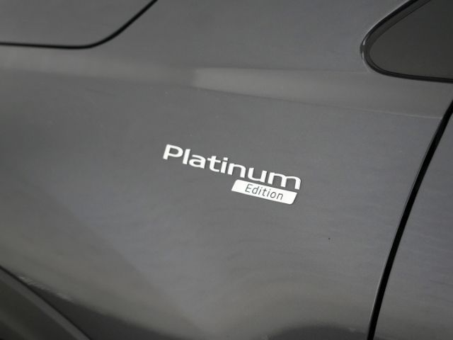 Stonic T-GDI PLATINUM EDITION+AHK+NAVI+RÜCKFAHRK