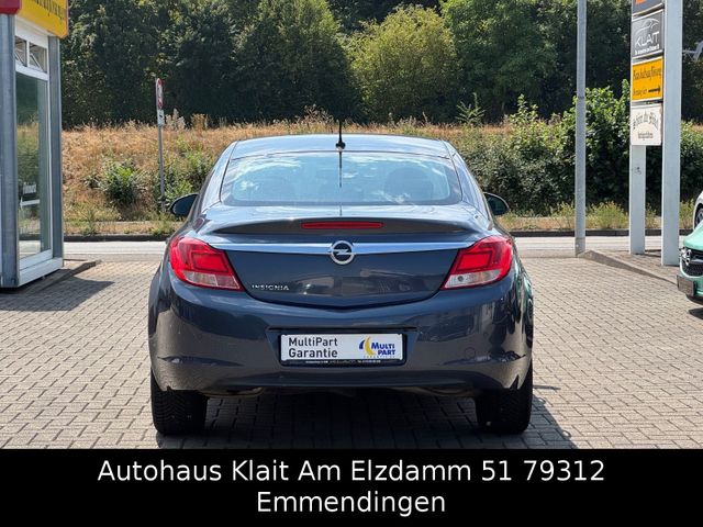 Fahrzeugabbildung Opel Insignia A Lim. Edition