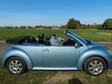 Volkswagen New Beetle 1.6 Cabriolet Standard - Volkswagen New Beetle Standard mit Benzin-Antrieb