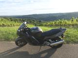 Honda CBR 1100XX Super Blackbird - 7200km!!! - HONDA CBR1100XX BLACKBIRD
