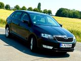 Skoda Rapid 1.2 TSI 81kW Joy  - Skoda Rapid: Joy