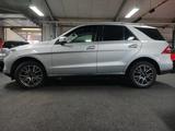 Mercedes-Benz ML 250 CDI BlueTec HU 1/2028 SERV NEU NAVI EGLSD - Mercedes-Benz ML 250 Gebrauchtwagen