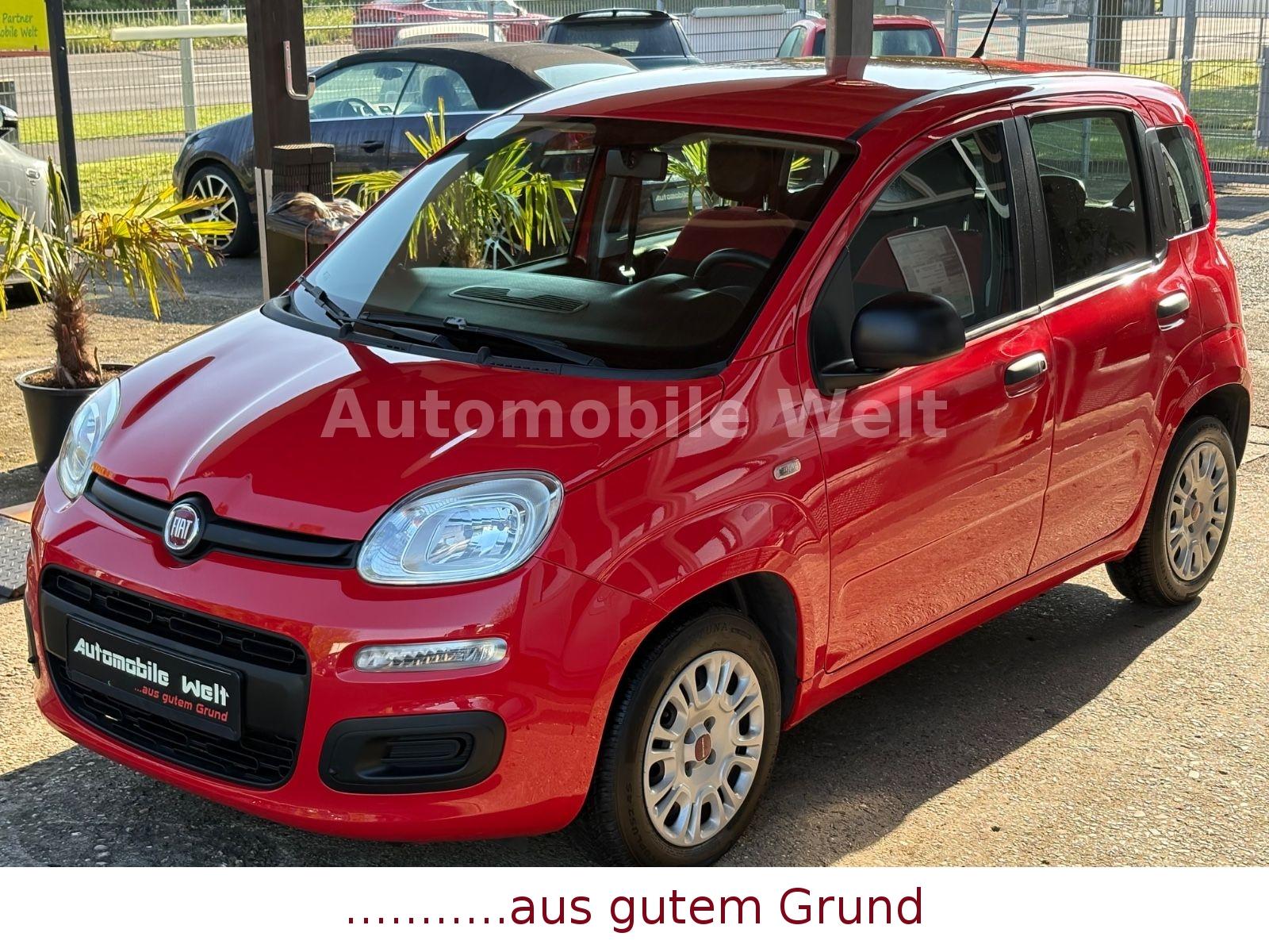 Fiat Panda1,2 Easy Klima Radio CD Allwetter HU/AU NEU