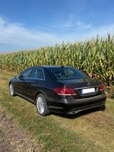 Mercedes-Benz E 500 4MATIC ELEGANCE - Mercedes-Benz E 500 von privat