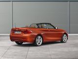 BMW 220i Cabrio Aut. Navi CD PDC Kamera LED Tempomat - BMW 220 in Stuttgart