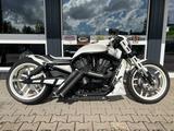 Harley-Davidson Night Rod Special VRSCDX NLC Umbau - Angebote