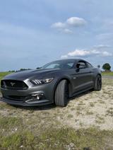 Ford Mustang 5.0 Ti-VCT V8 GT  - Ford Mustang in Hamm