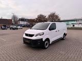 Peugeot Expert 2,0 Bluehdi 122 Kasten Premium L3 PDC AHK - Peugeot Expert: L3