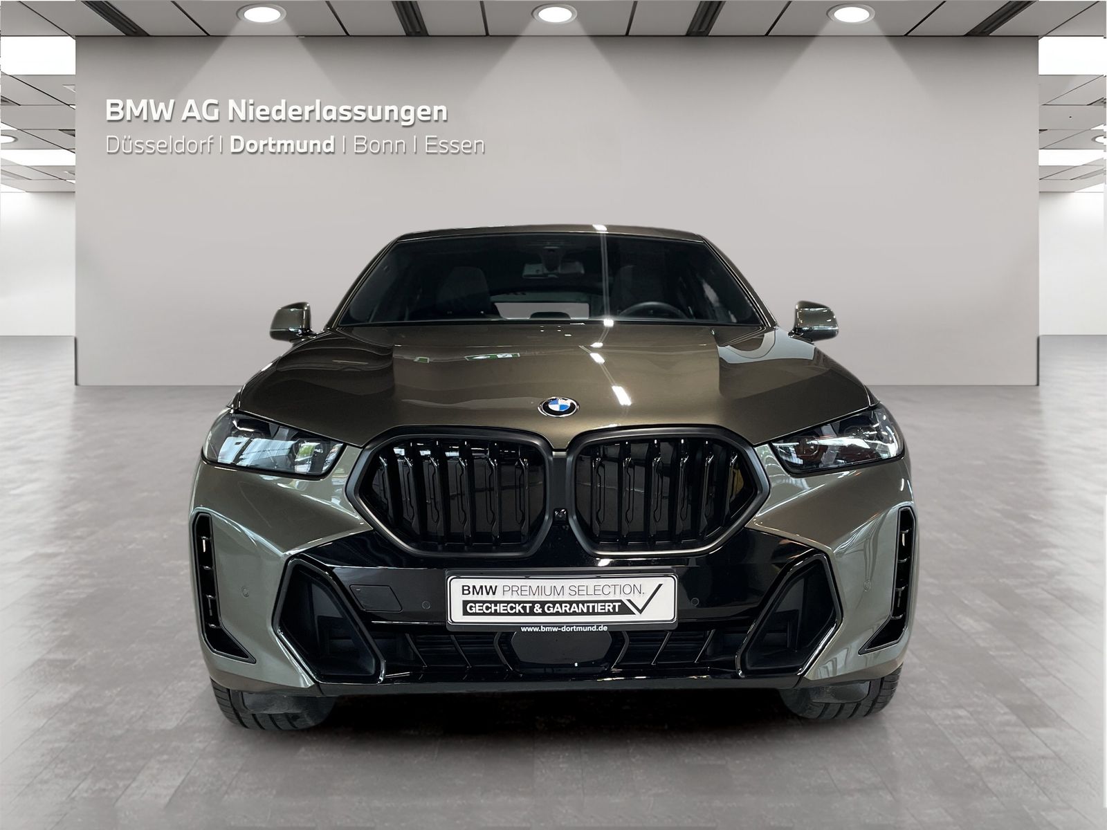 BMW X6 - Bild 8