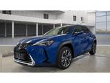 Lexus UX 300e Premium Pano Kamera App-Navi LED Leder S - Lexus UX 300e Gebrauchtwagen