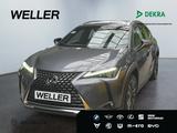 Lexus UX 250h Luxury Line *HUD*360°*GSD*Klimasitze*ACC - gebrauchte Lexus SUV & Geländewagen