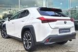 Lexus UX 250h Style Edition - Lexus Gebrauchtwagen in Augsburg