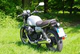 Moto Guzzi V7 850 Special - Offers matching your search criteria