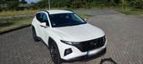 Hyundai TUCSON Plug-In Hybrid 4WD - Hyundai TUCSON in Hamm
