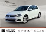 Volkswagen Golf VII 1.2 TSI Trendline Climatronic SHZ PDC - Volkswagen Golf: Tsi Trendline