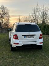 Mercedes-Benz ML 63 AMG 4MATIC AMG - Mercedes-Benz ML 63 AMG in Essen