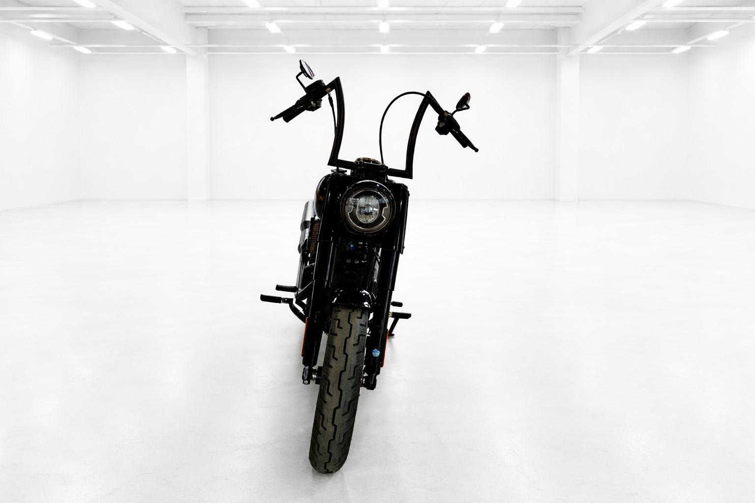 Harley-Davidson Heritage Classic 114 Ape