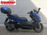 Honda NSS 125 ADR FORZA **JUNGER GEBRAUCHTER** - HONDA FORZA 125