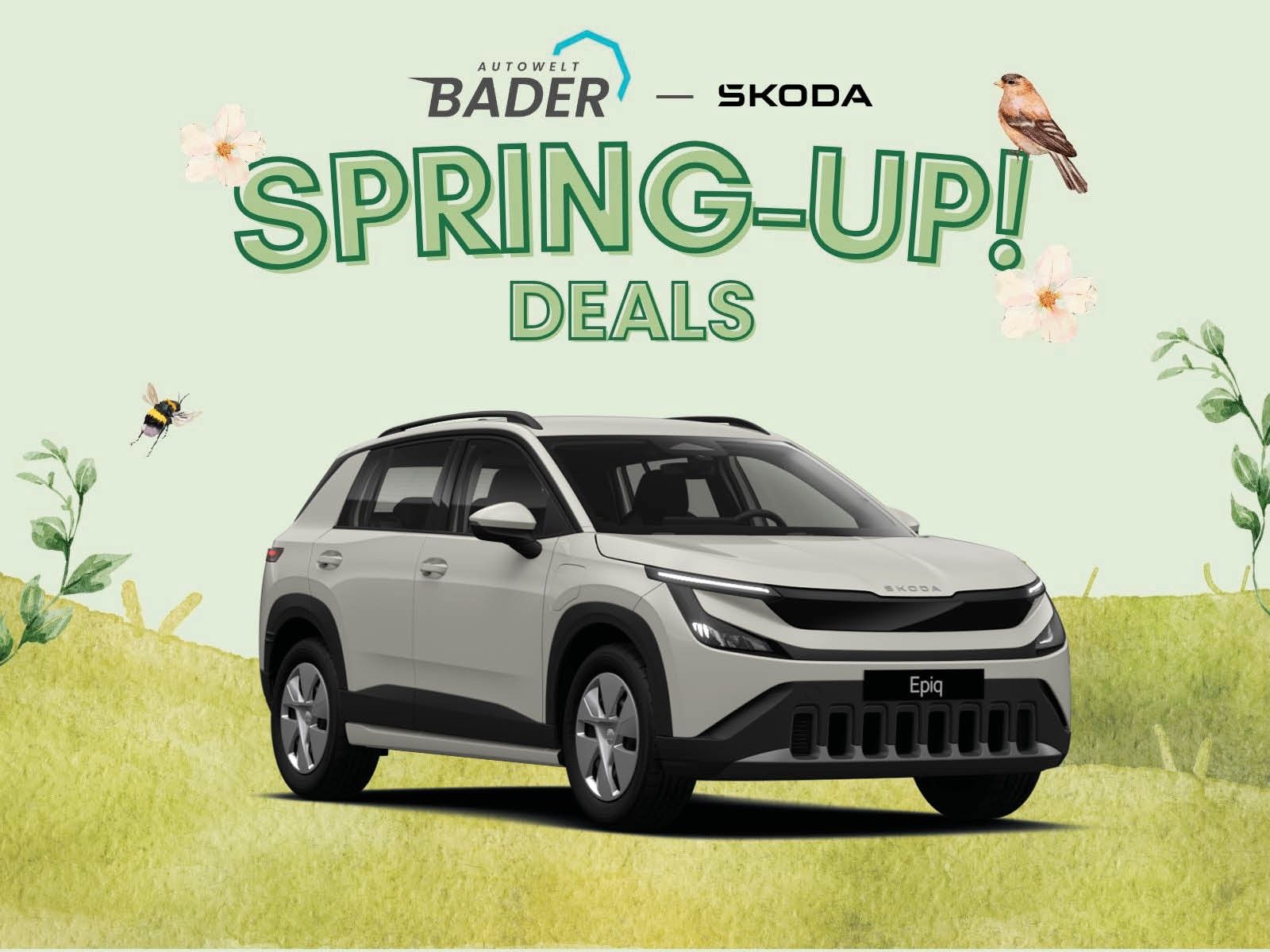 Skoda Andere - Bild 1